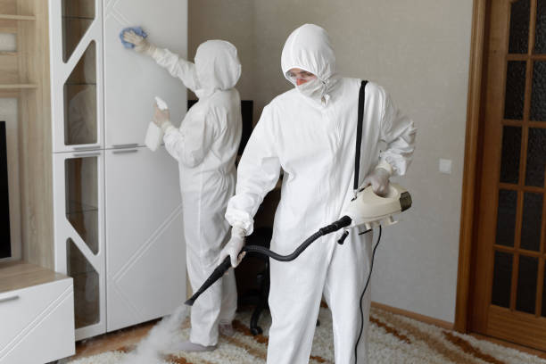 Best Mold Removal for HVAC Installations  in Olivehurst, CA